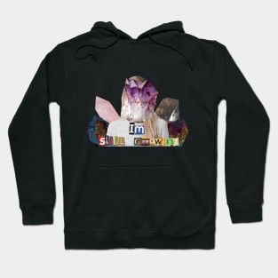 Im Still Growing (Crystals) Hoodie